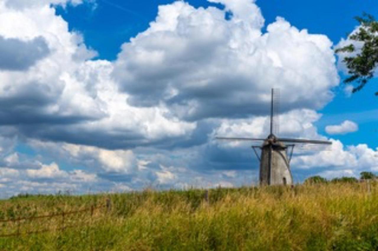 Vlaamse Ardennen Vakantiehuis Casa Caliente Met Wellness Avelgem Exterior foto