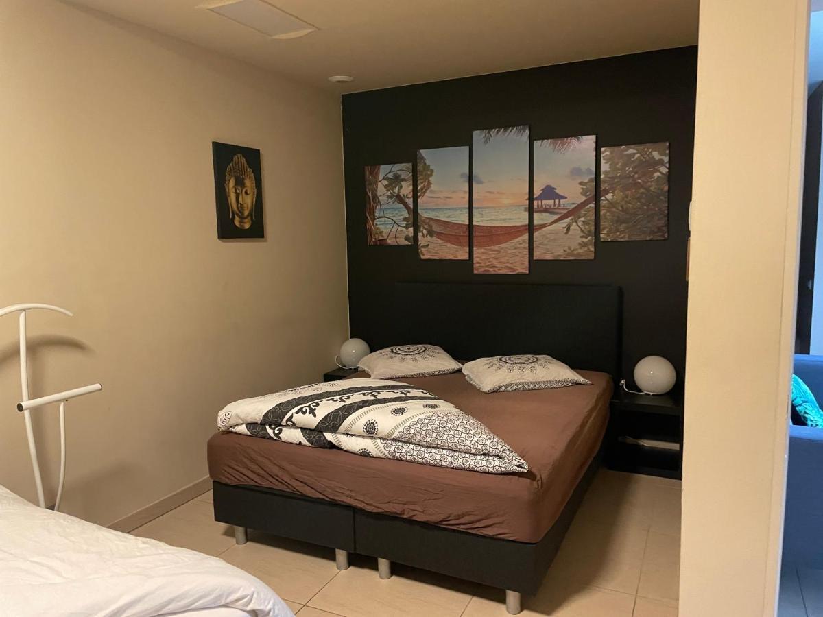 Vlaamse Ardennen Vakantiehuis Casa Caliente Met Wellness Avelgem Exterior foto